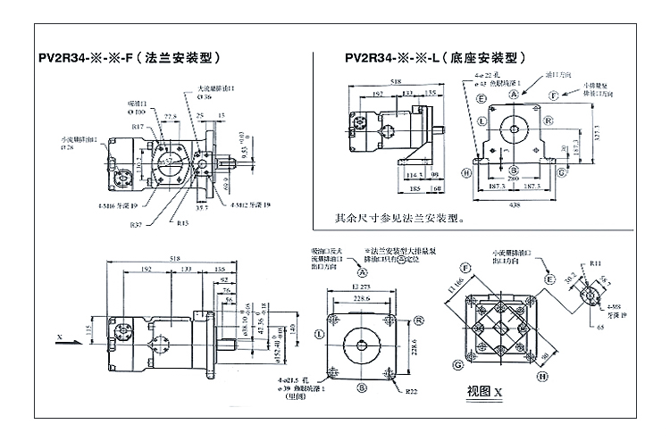 PV2R double pump.jpg